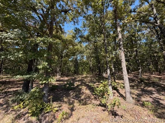 5 Brandy Lane Tishomingo, OK 73460