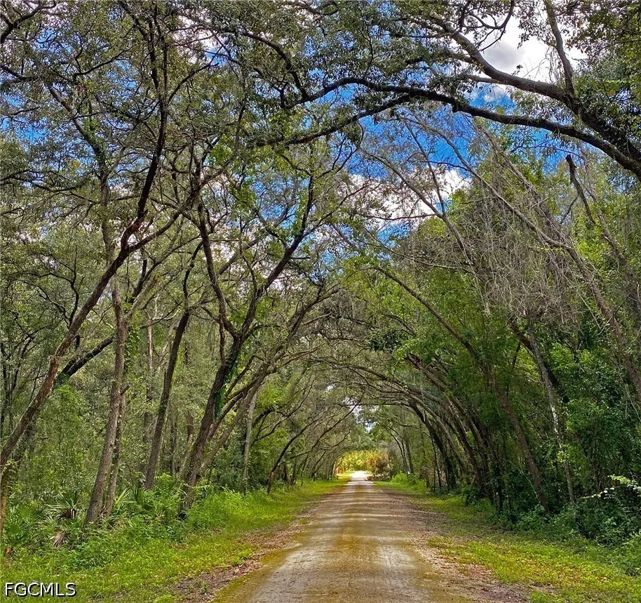 Batesfield Street Webster, FL 33597