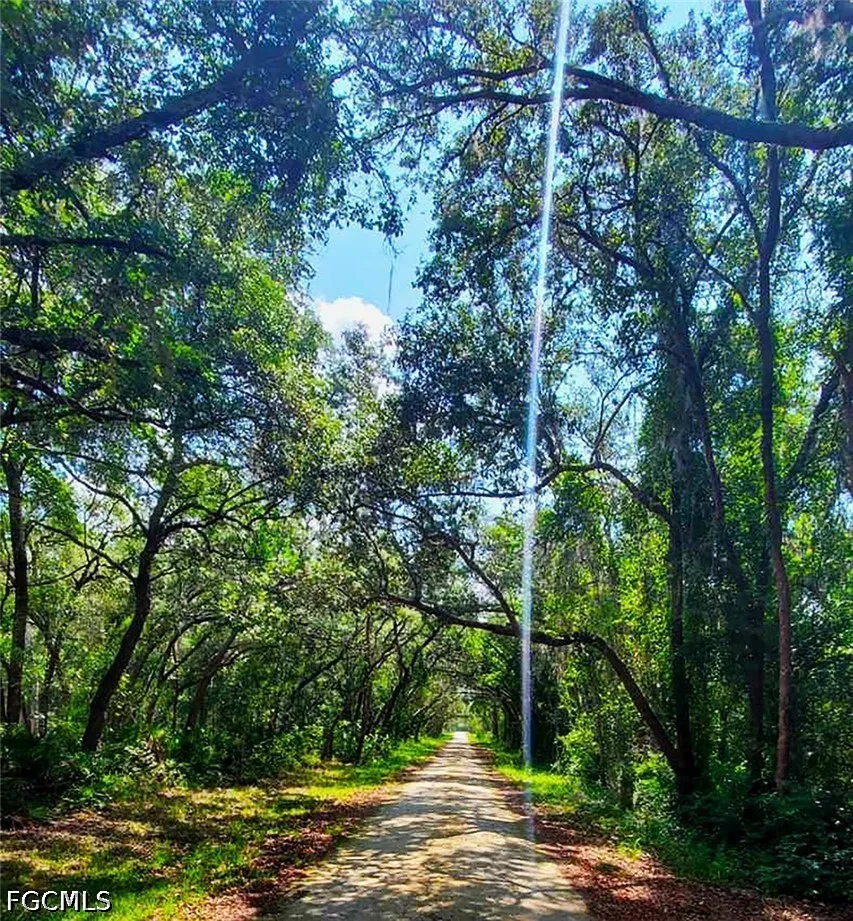 Batesfield Street Webster, FL 33597