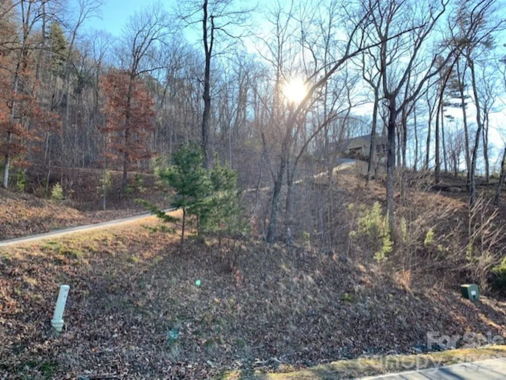 218 Rock Ledge Drive #218 Lake Lure, NC 28746