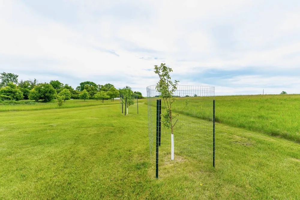 42955 165th Street Clitherall, MN 56524