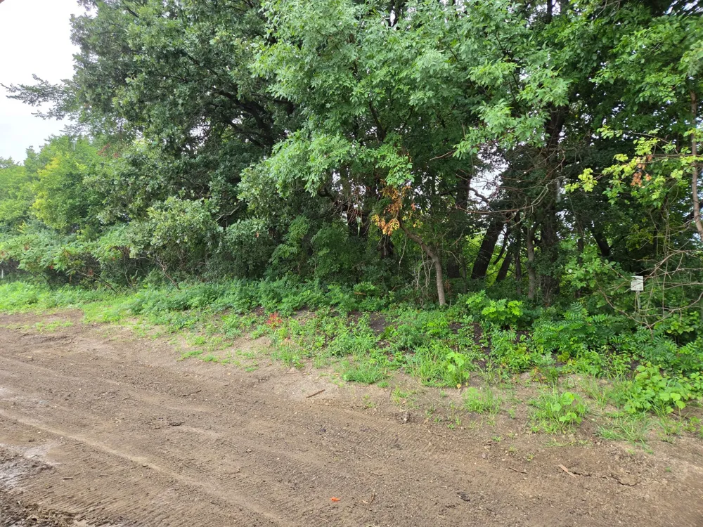 1119 8th Avenue SE Waseca, MN 56093