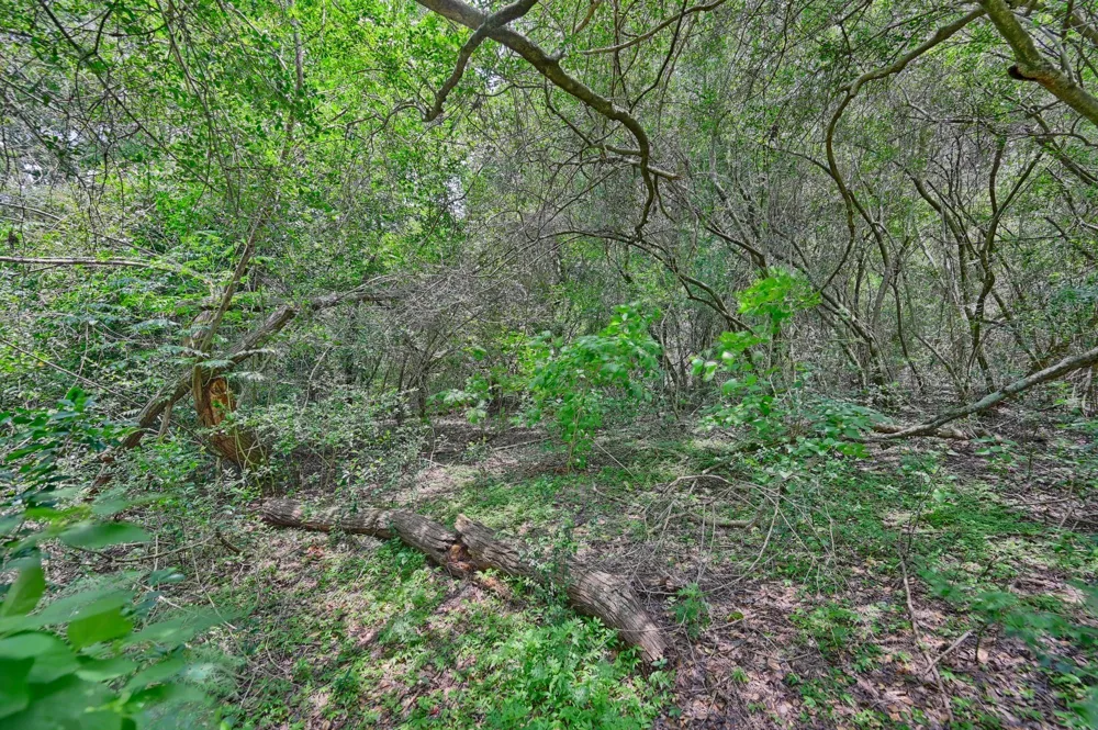 3844 Highway 36 Bellville, TX 77418