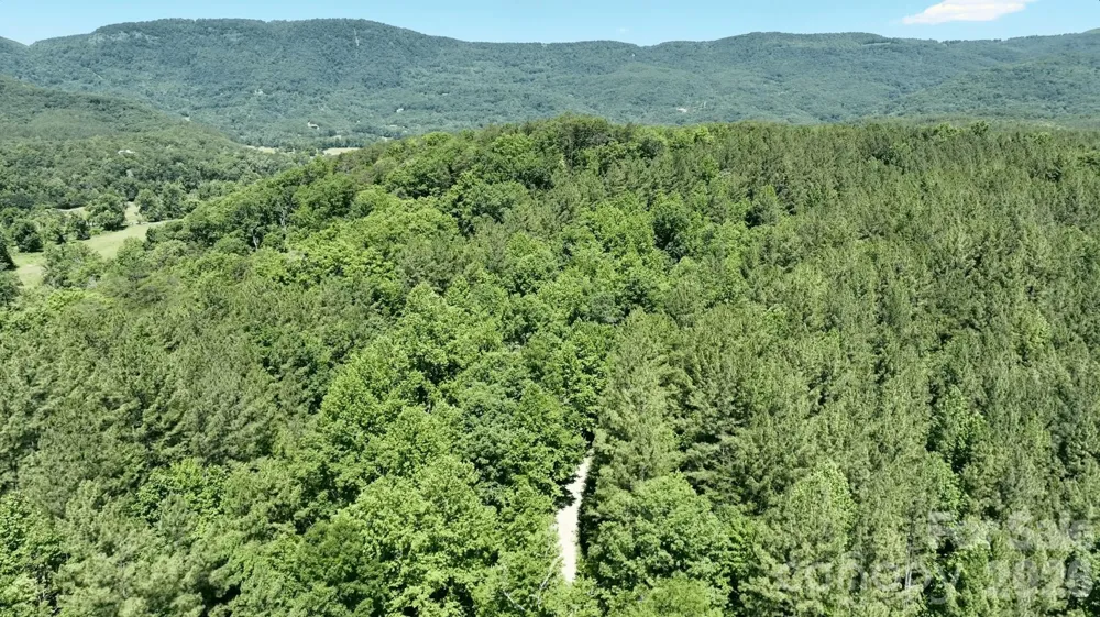 1194 Palmer Road Mill Spring, NC 28756