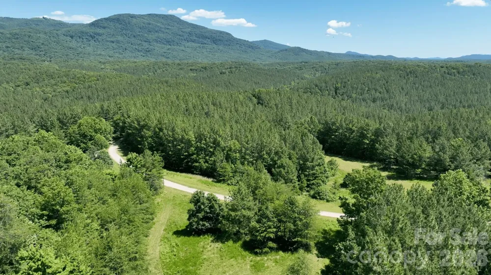 1194 Palmer Road Mill Spring, NC 28756