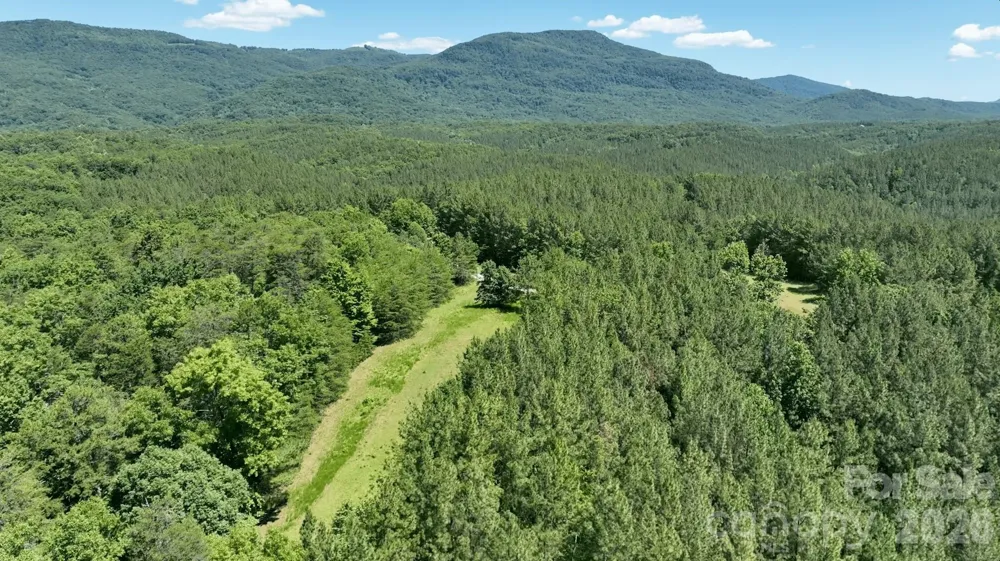 1194 Palmer Road Mill Spring, NC 28756