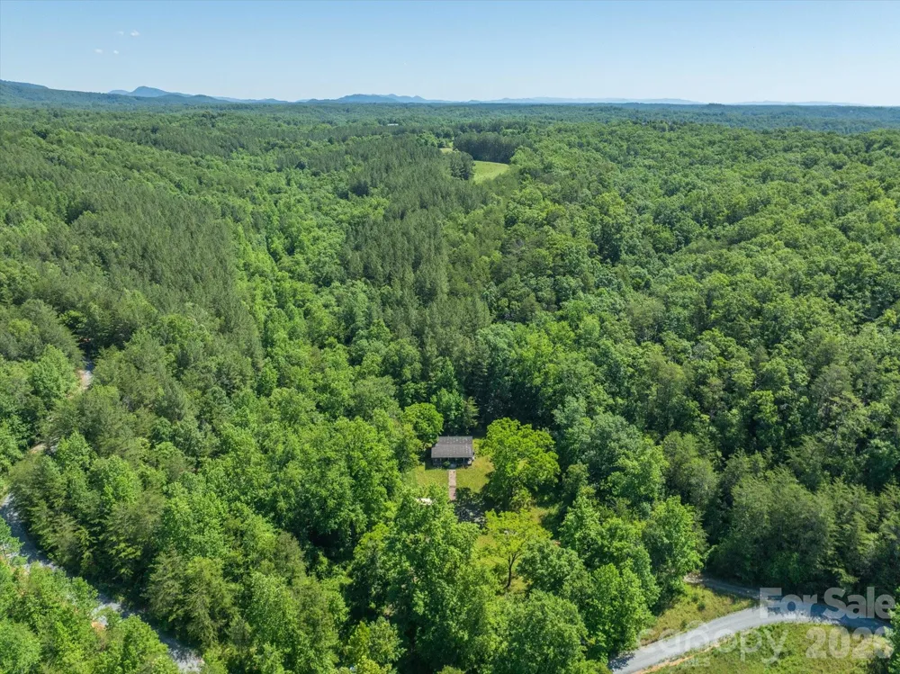 1194 Palmer Road Mill Spring, NC 28756