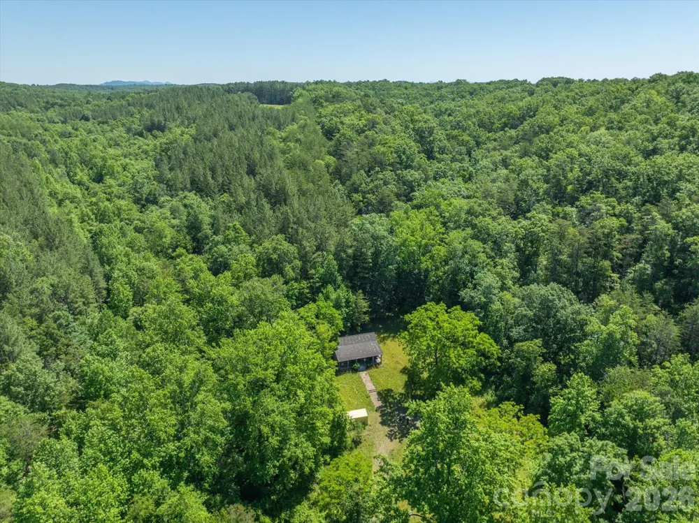 1194 Palmer Road Mill Spring, NC 28756