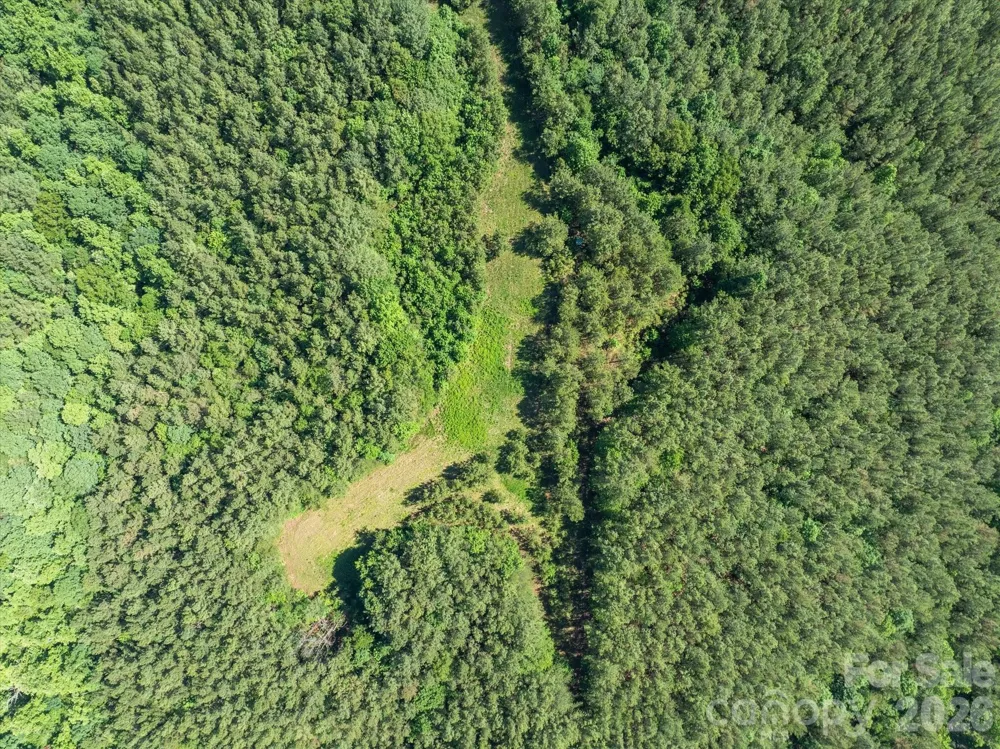 1194 Palmer Road Mill Spring, NC 28756