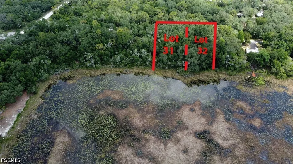 Batesfield Street Webster, FL 33597