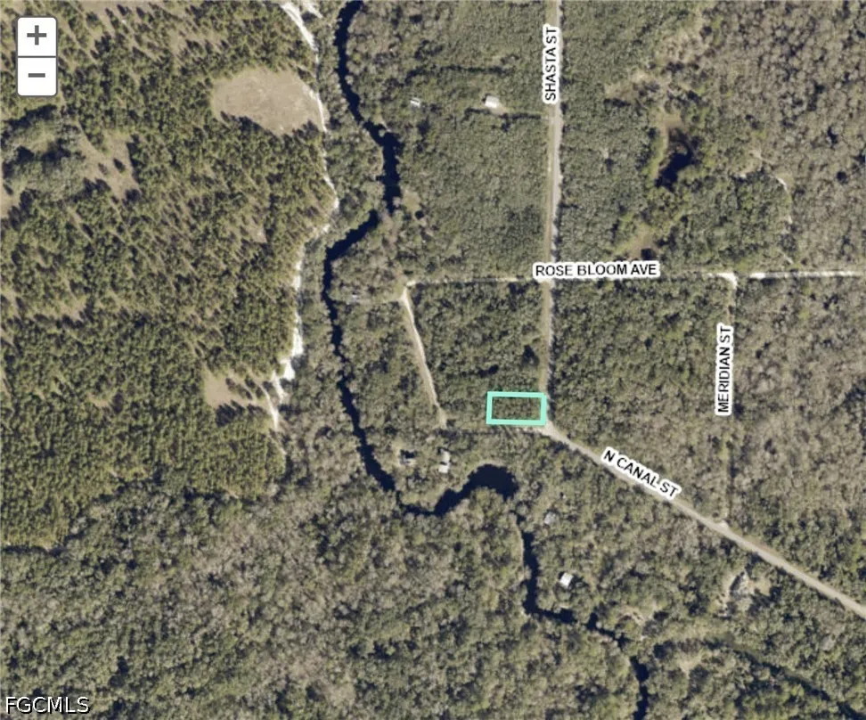 Shasta Street Webster, FL 33597