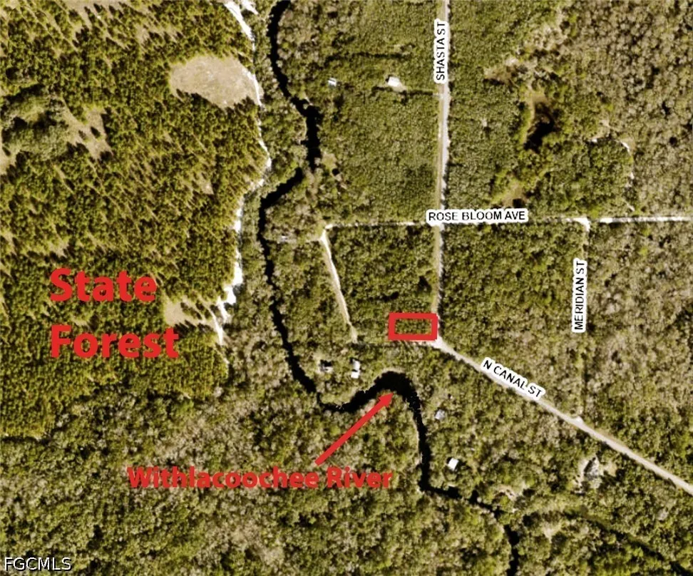Shasta Street Webster, FL 33597