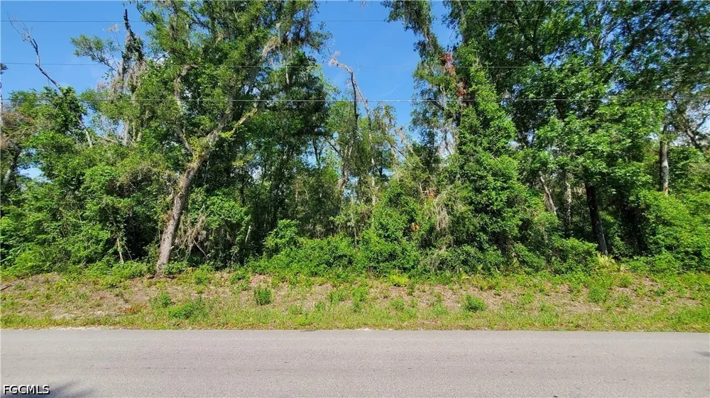 Shasta Street Webster, FL 33597