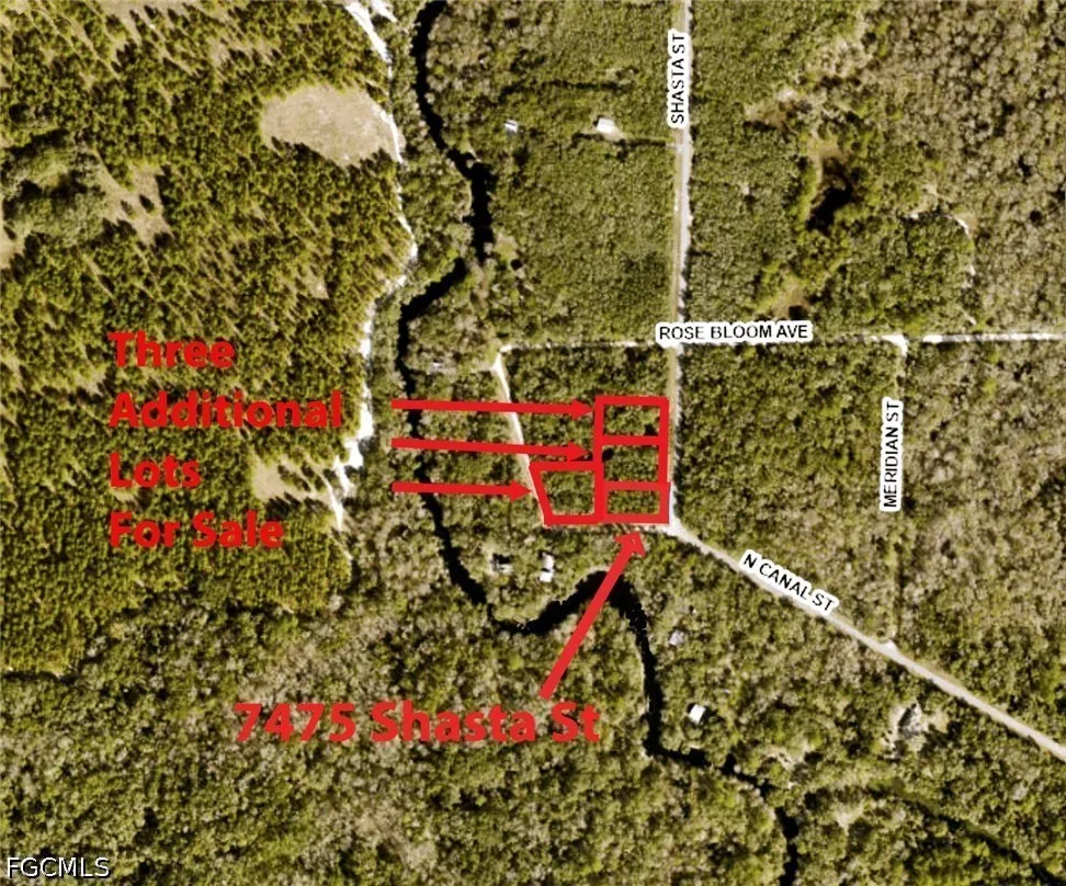 Shasta Street Webster, FL 33597