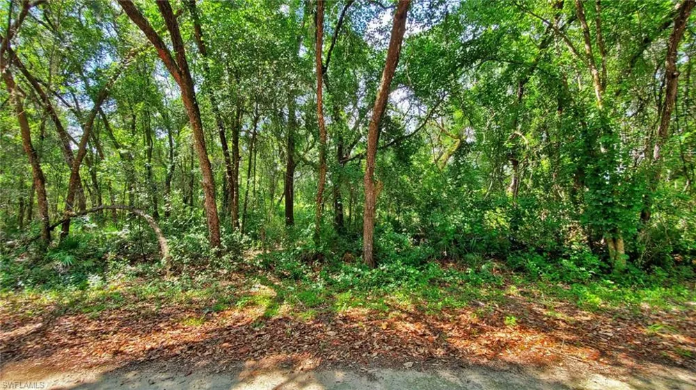 35028 Batesfield Street Webster, FL 33597