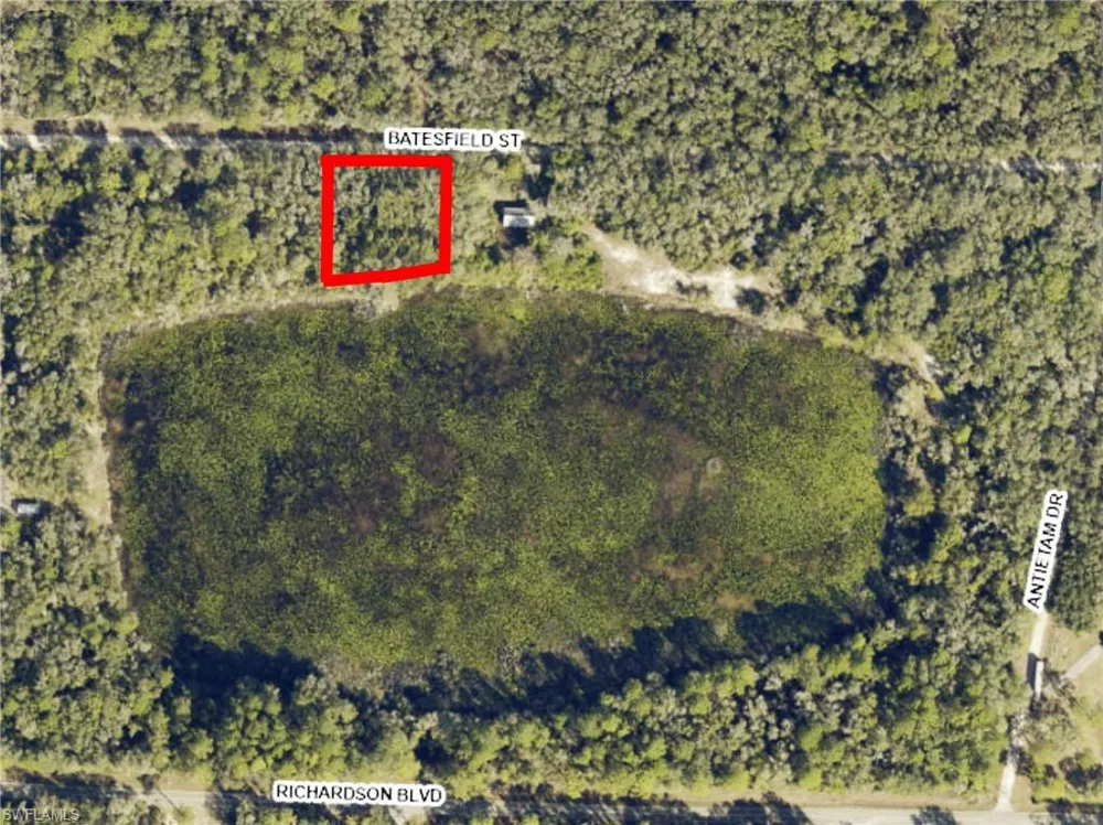 35028 Batesfield Street Webster, FL 33597