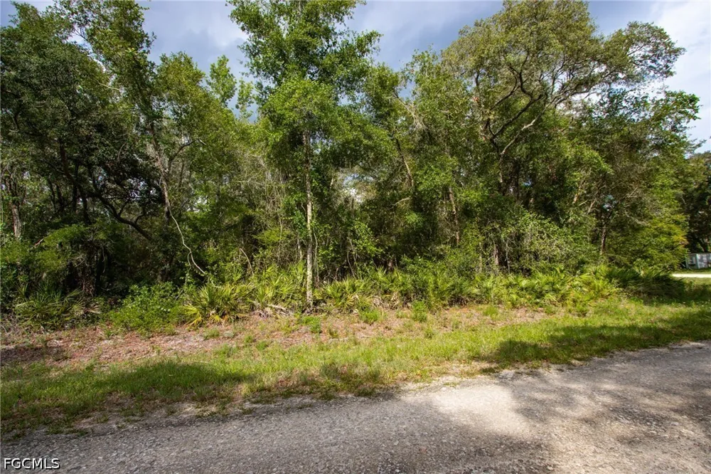 Canal Street Webster, FL 33597