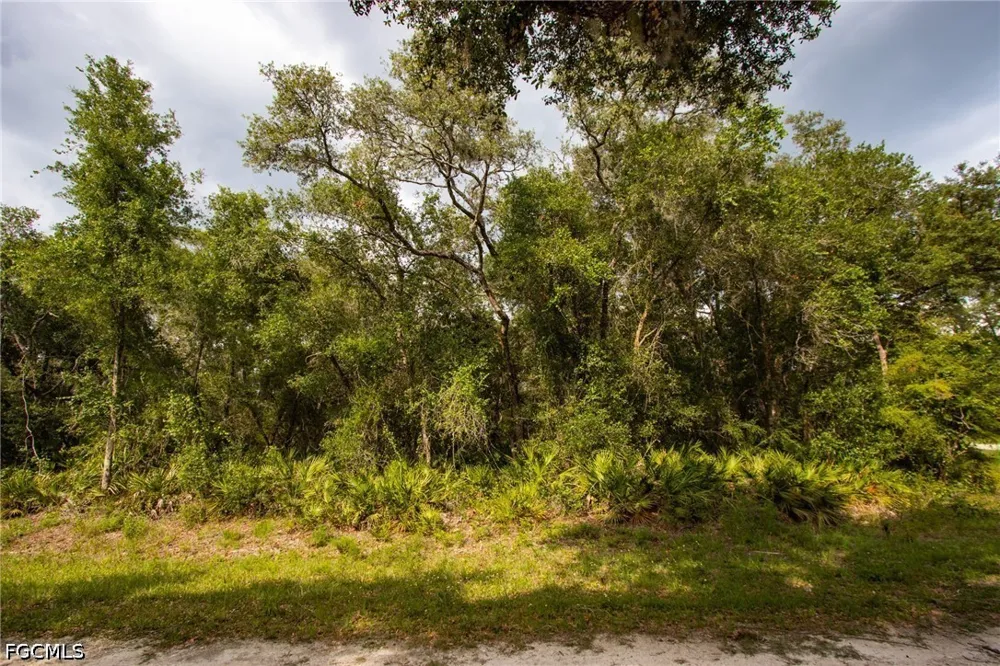 Canal Street Webster, FL 33597