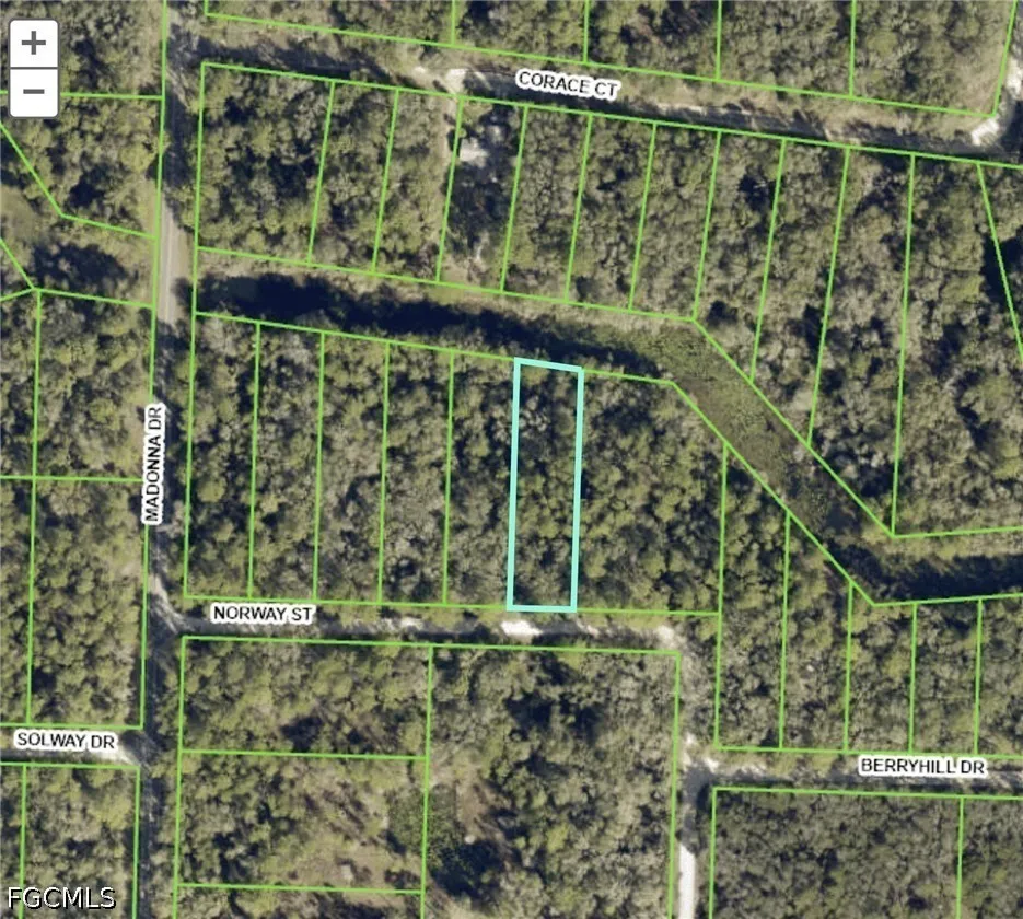 Norway Street Webster, FL 33597