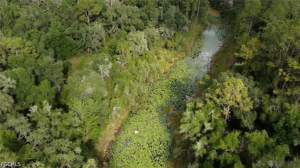 Norway Street Webster, FL 33597