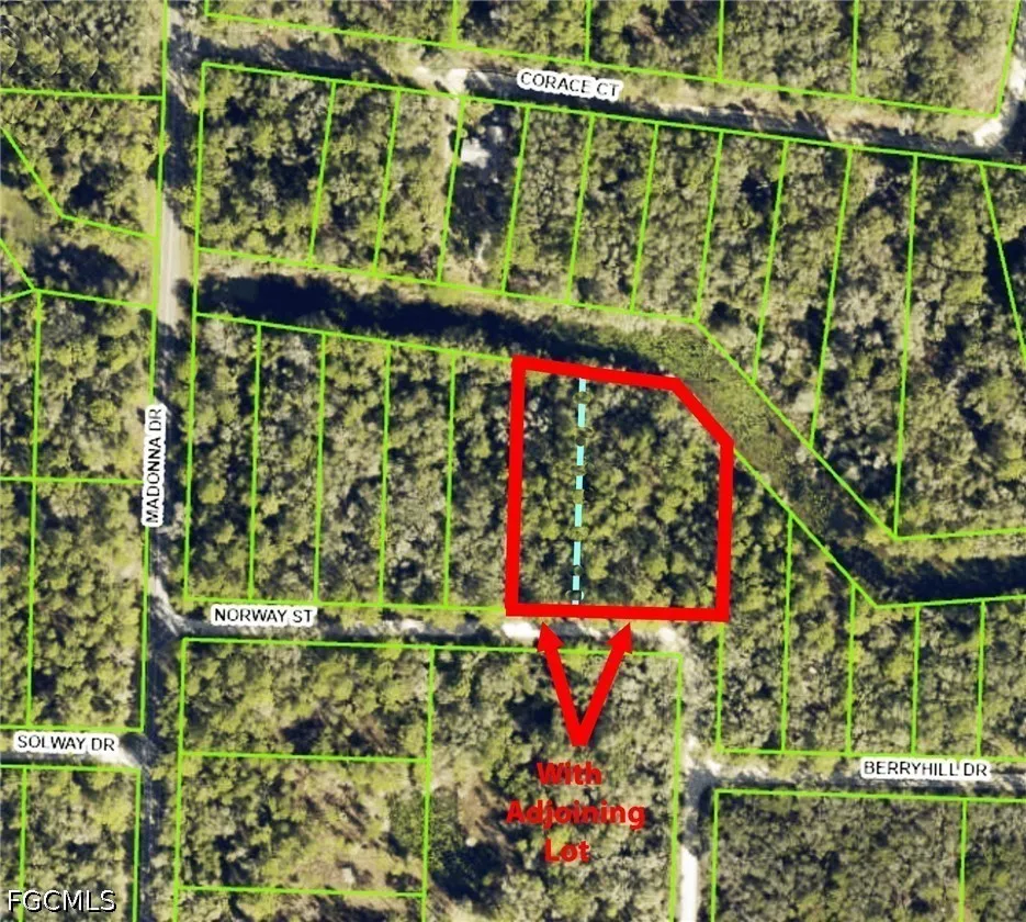 Norway Street Webster, FL 33597