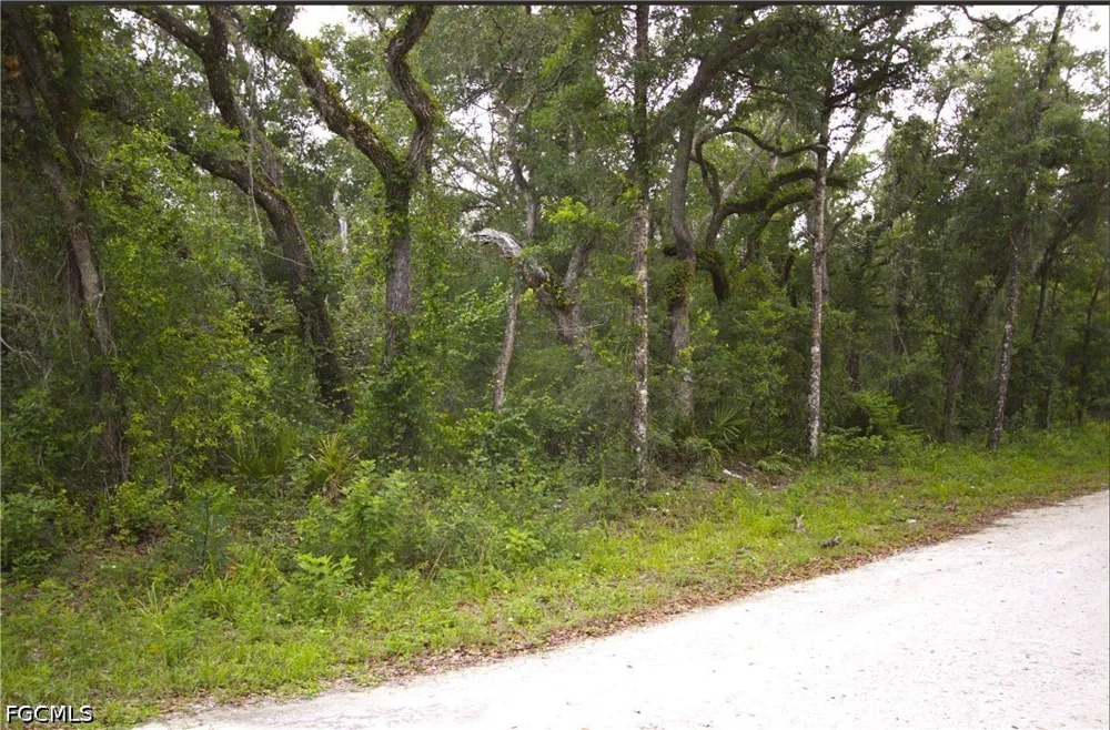 Northwest Avenue Webster, FL 33597