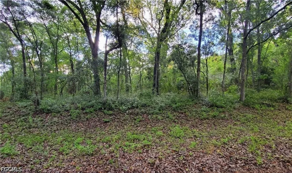 Kenyon Drive Webster, FL 33597