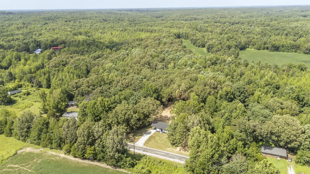 1427 Britton Ln Denmark, TN 38391