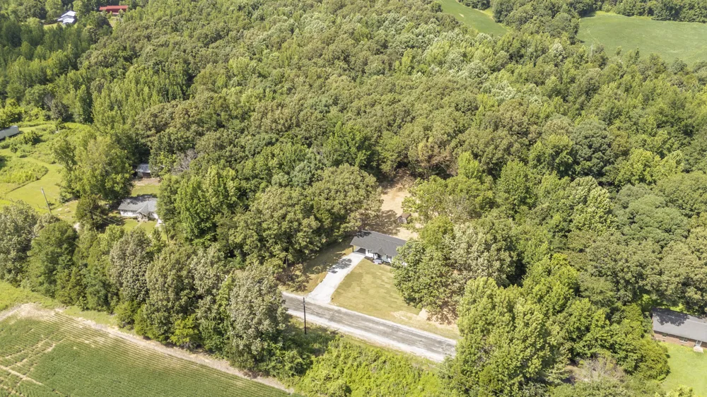 1427 Britton Ln Denmark, TN 38391