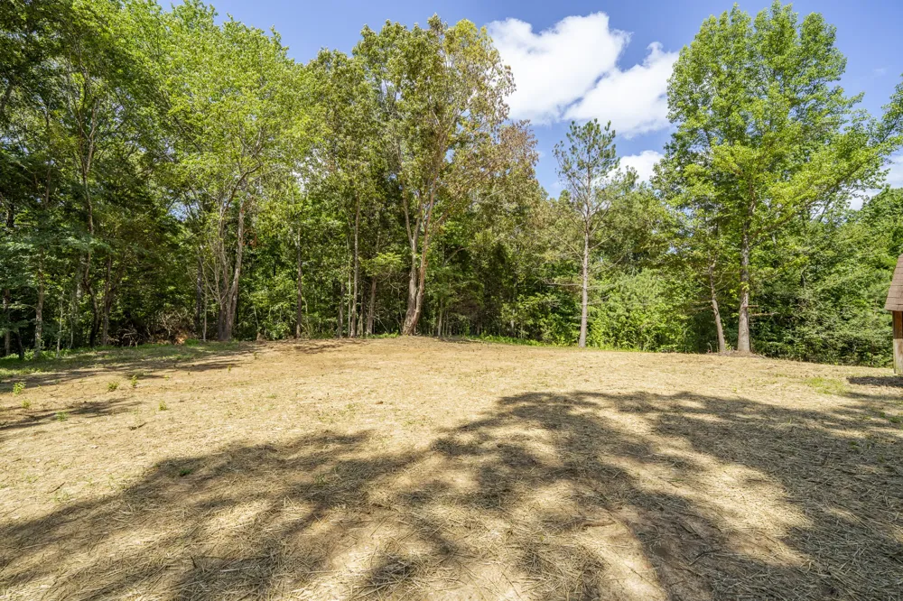 1427 Britton Ln Denmark, TN 38391