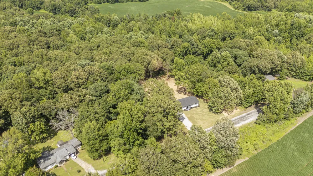 1427 Britton Ln Denmark, TN 38391