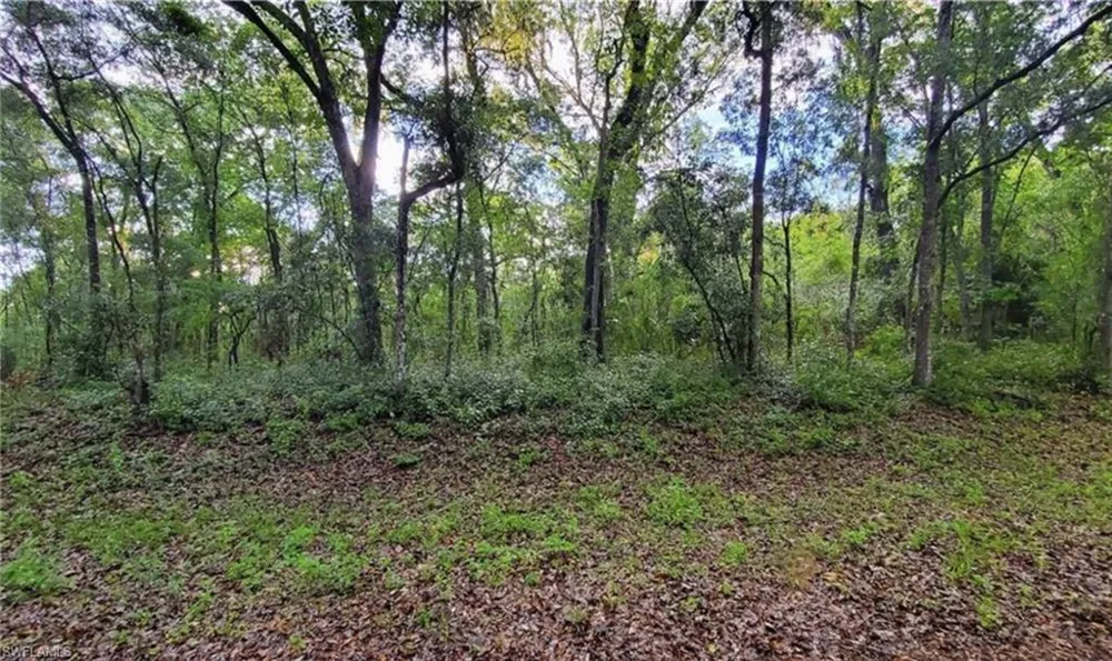 Kenyon Drive Webster, FL 33597