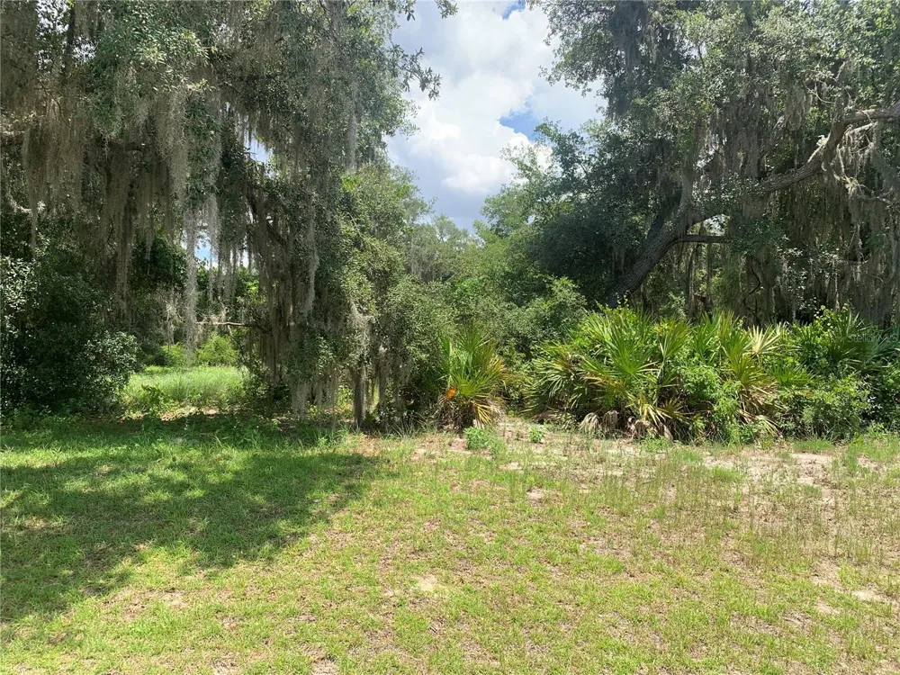 3113 BRIGHT LAKE CIRCLE Groveland, FL 34736
