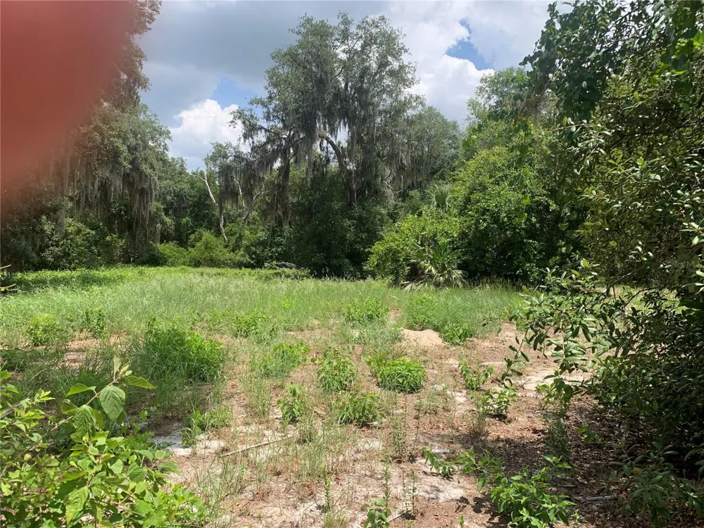 3113 BRIGHT LAKE CIRCLE Groveland, FL 34736