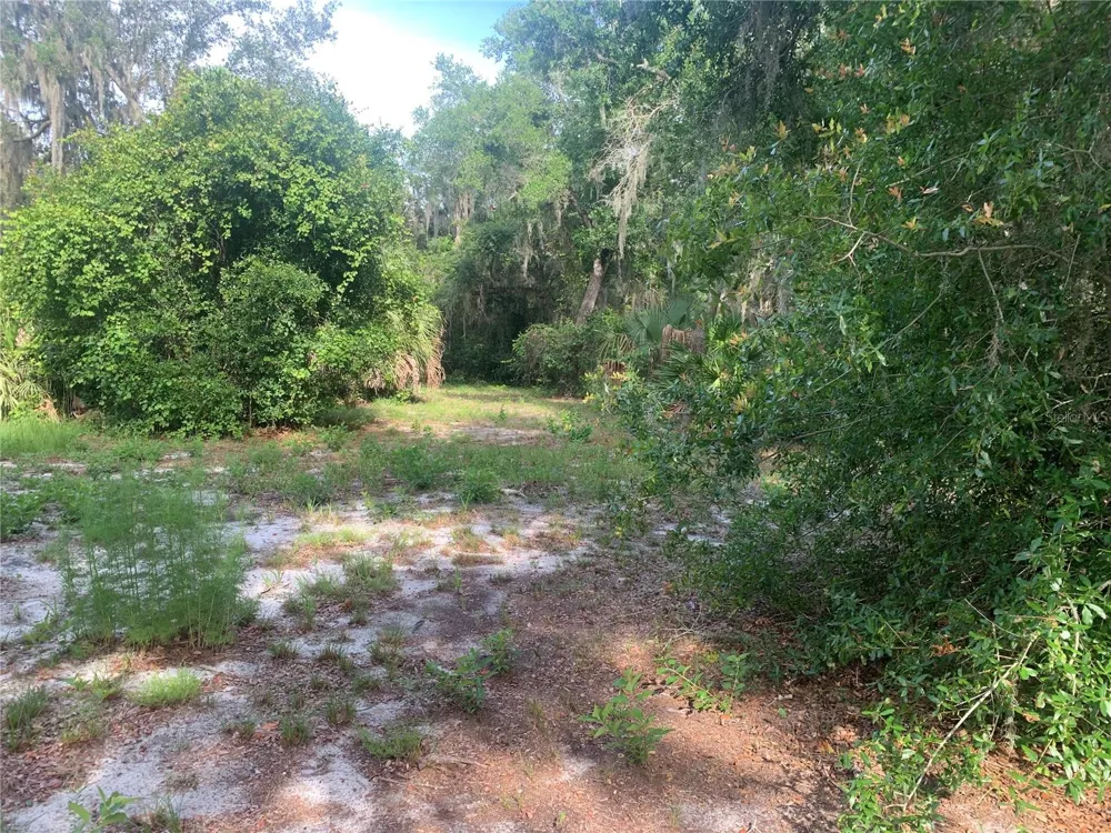 3113 BRIGHT LAKE CIRCLE Groveland, FL 34736