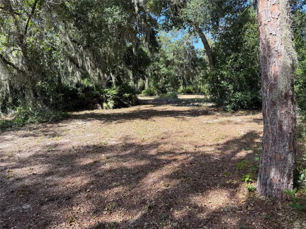3113 BRIGHT LAKE CIRCLE Groveland, FL 34736