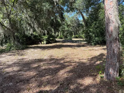 3113 BRIGHT LAKE CIRCLE
