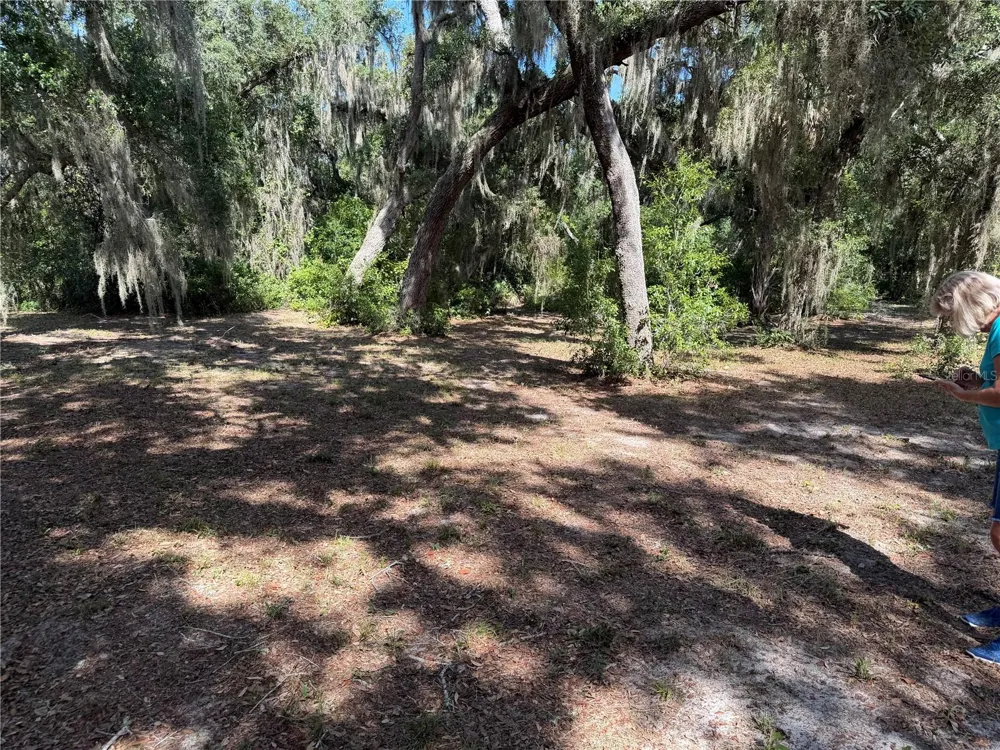 3113 BRIGHT LAKE CIRCLE Groveland, FL 34736