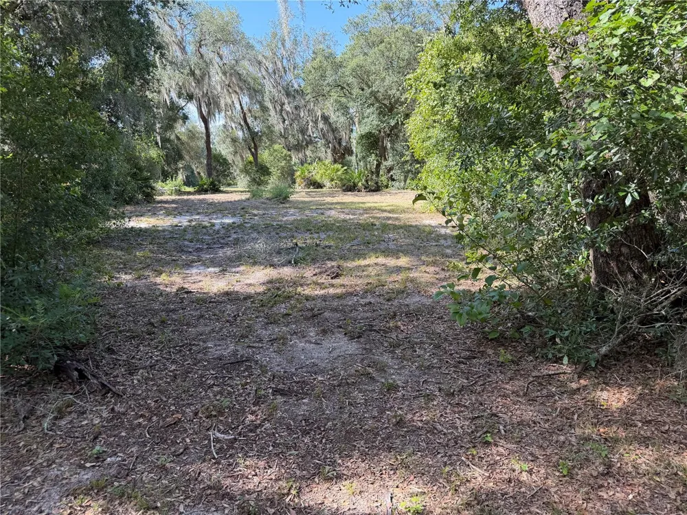 3113 BRIGHT LAKE CIRCLE Groveland, FL 34736