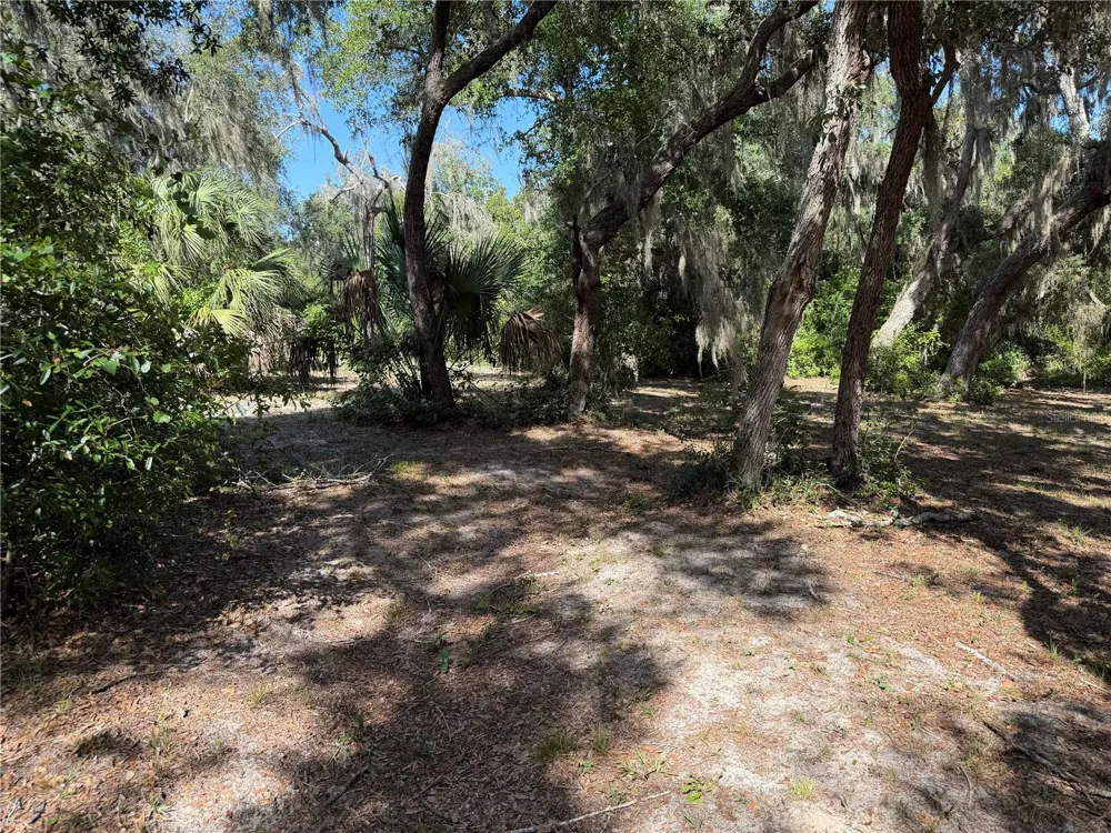 3113 BRIGHT LAKE CIRCLE Groveland, FL 34736
