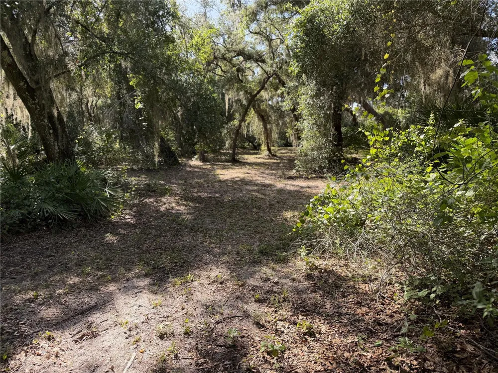 3113 BRIGHT LAKE CIRCLE Groveland, FL 34736