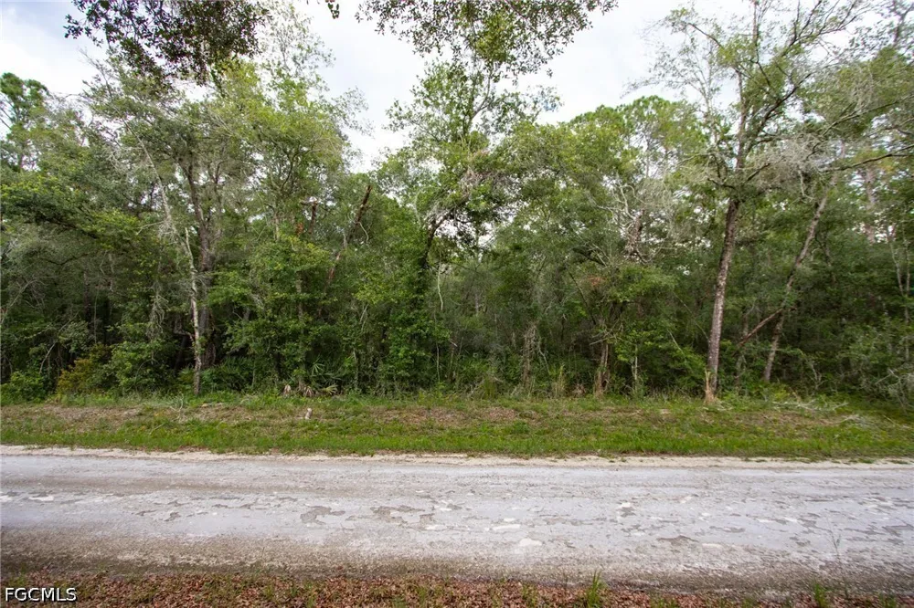 Southeast Avenue Webster, FL 33597