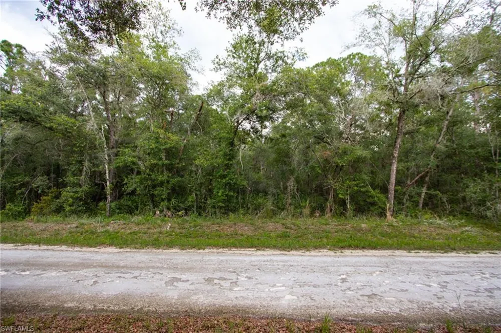 7398 Southeast Avenue Webster, FL 33597