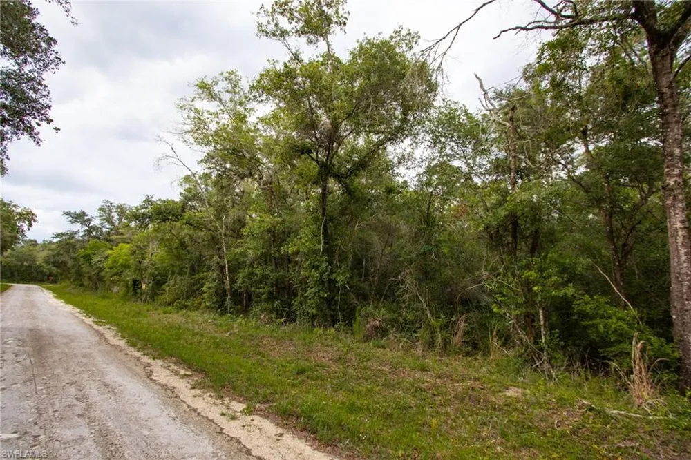 7406 Southeast Avenue Webster, FL 33597