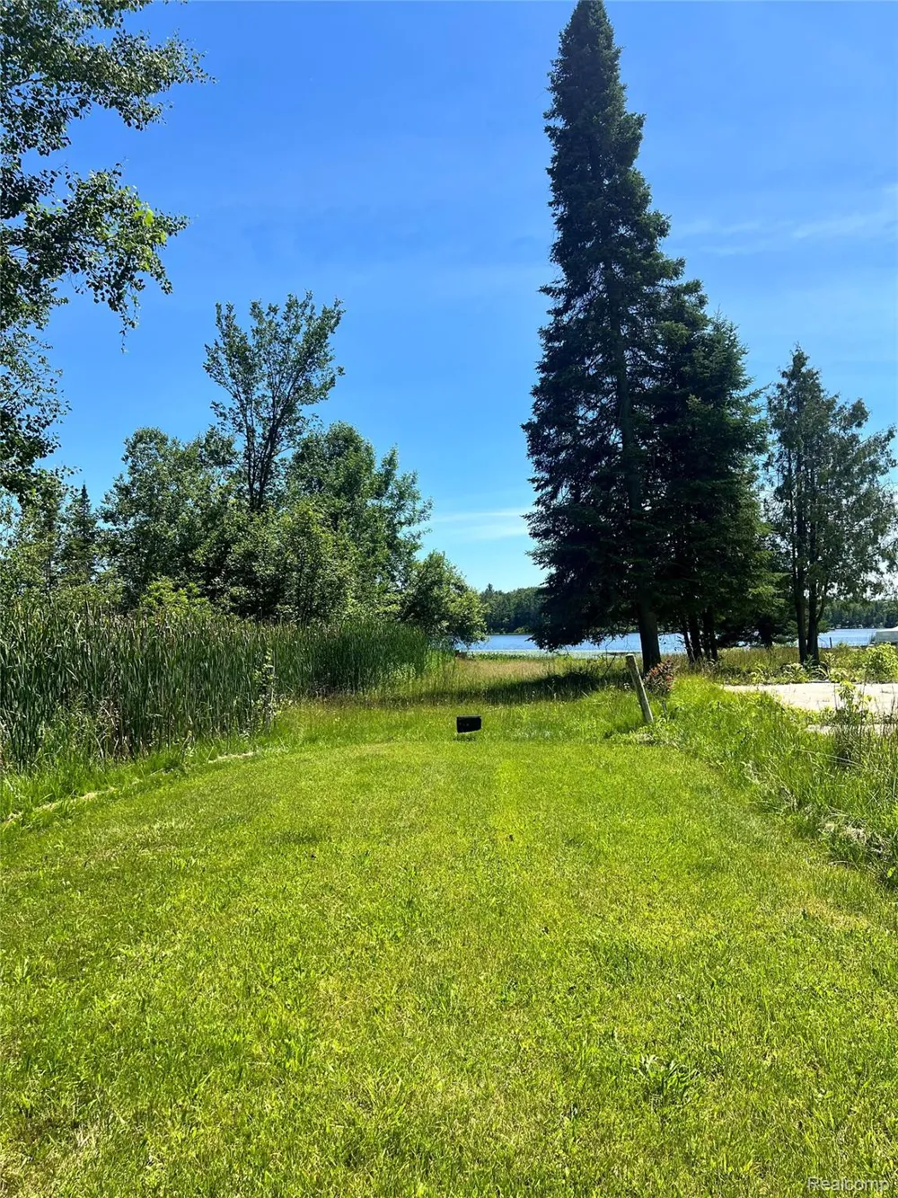 3567 Coveview Drive Hill Township, MI 48635