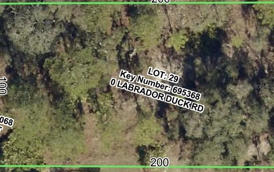 11335 LABRADOR DUCK ROAD Weeki Wachee, FL 34614