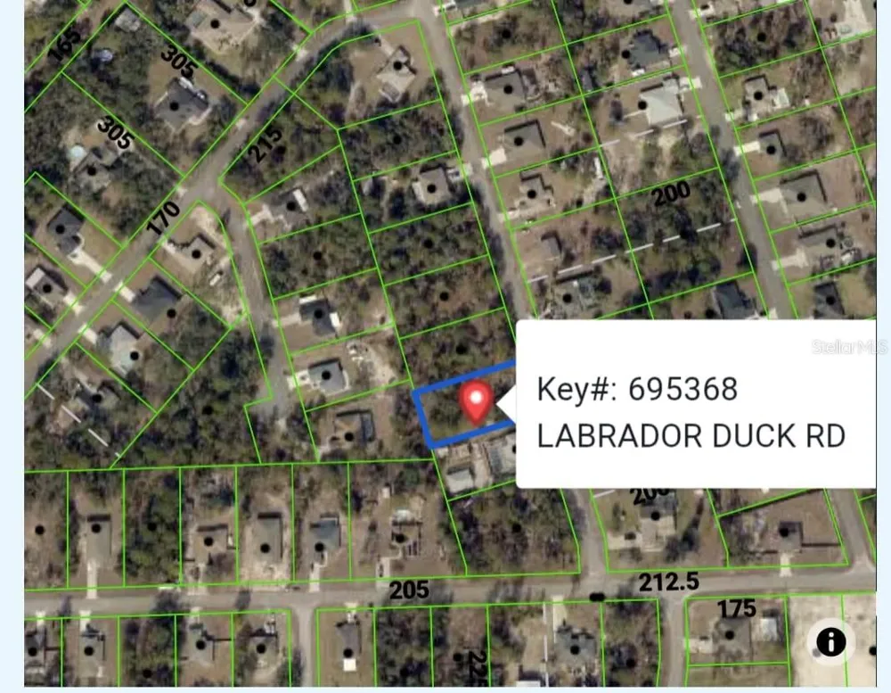 11335 LABRADOR DUCK ROAD Weeki Wachee, FL 34614