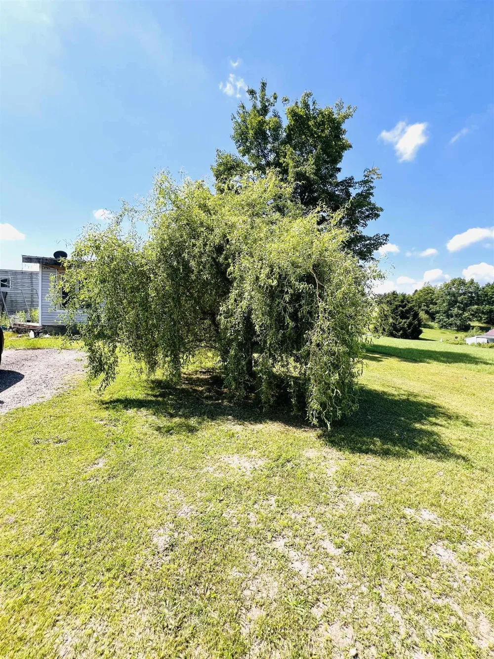 111 Eastland Drive Rose Lake Township, MI 49655