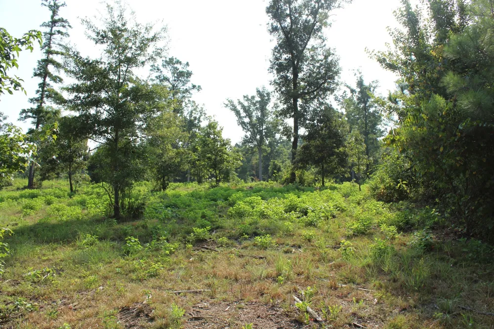 Germantown Road Minden, LA 71055