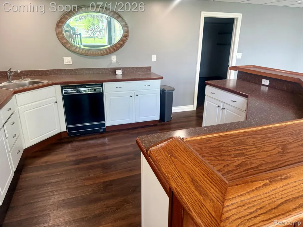 3780 Lake Lapeer Drive Elba Township, MI 48455